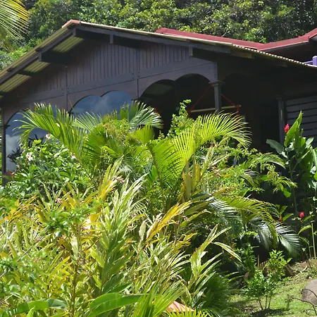 Piton Bungalows Ecolodges-2